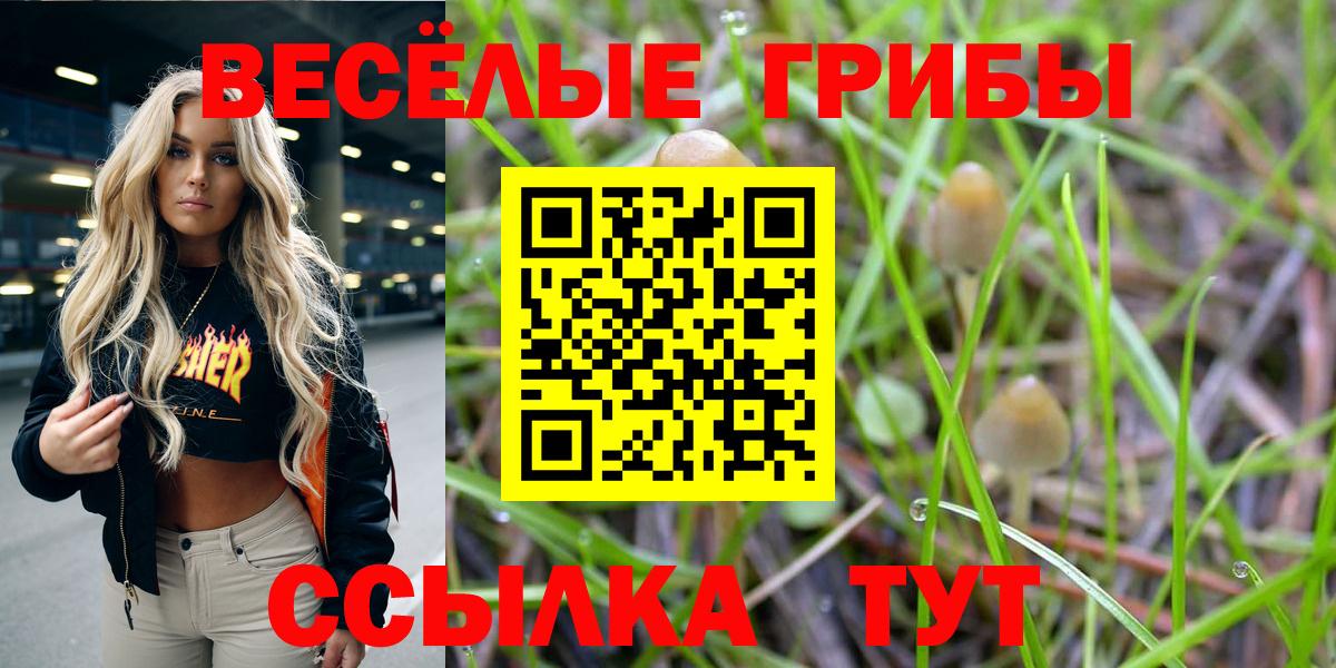 Псилоцибиновые грибы мухоморы Рославль